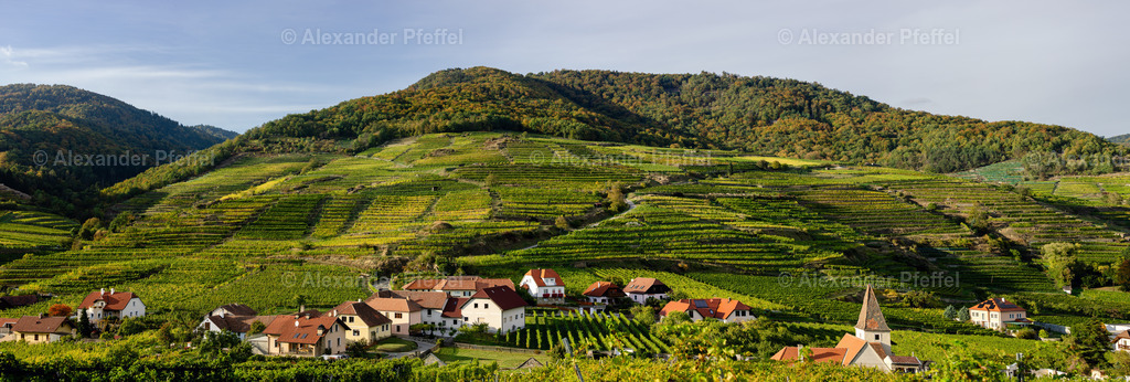 foto_c_pfeffel-partner-0079-R52_0273-Pano | alexander-pfeffel - Realisiert mit Pictrs.com