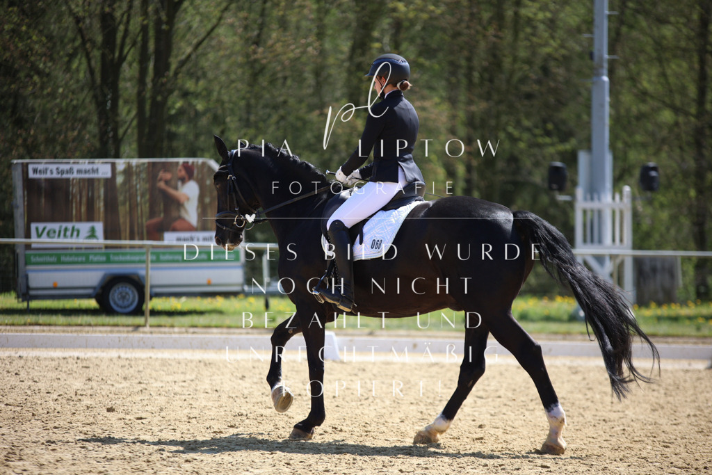 IMGT2633 | pl-fotografie