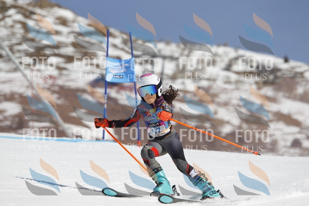 _U3G9542 | holidayphoto