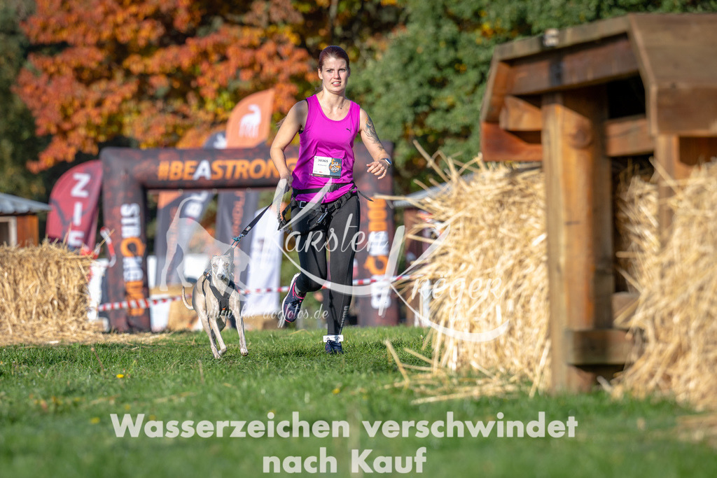 0959_ZZ91761 | kk-dogfotos