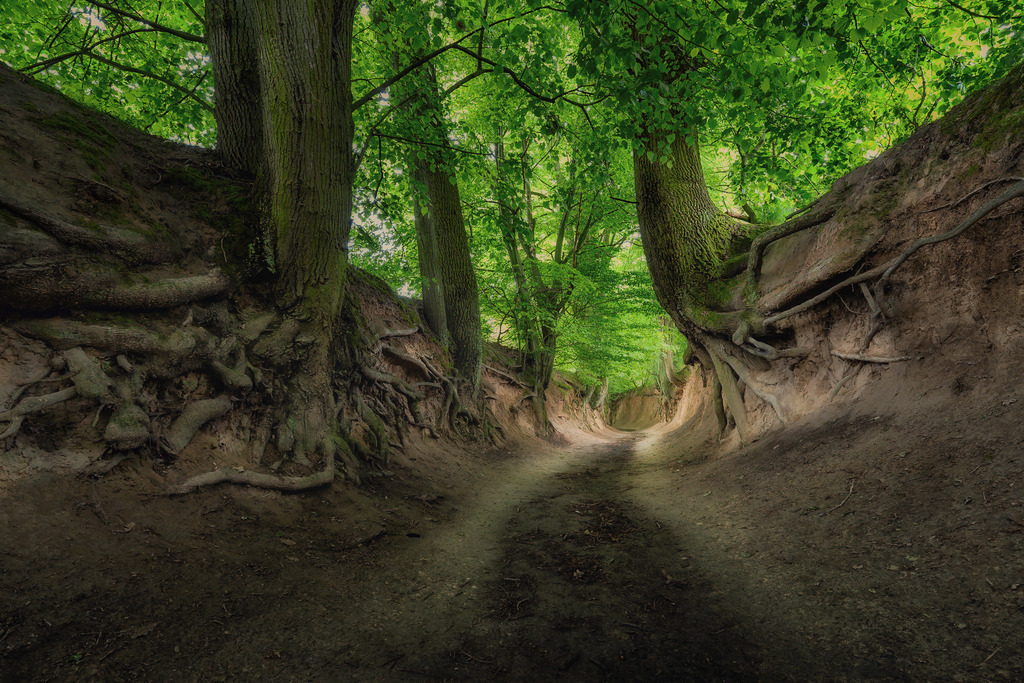 Kazimierz Dolny 3 | Landschaftsfotografien und Naturfotografien (Schweiz, Europa) auf Leinwand, Postkarten und Poster. Wähle dein Lieblingsfoto und entscheiden selber, welches Fotoprodukt du bestellen willst. Grosse Auswahl an Karten zum Versenden und Verschenken. - Realisiert mit Pictrs.com