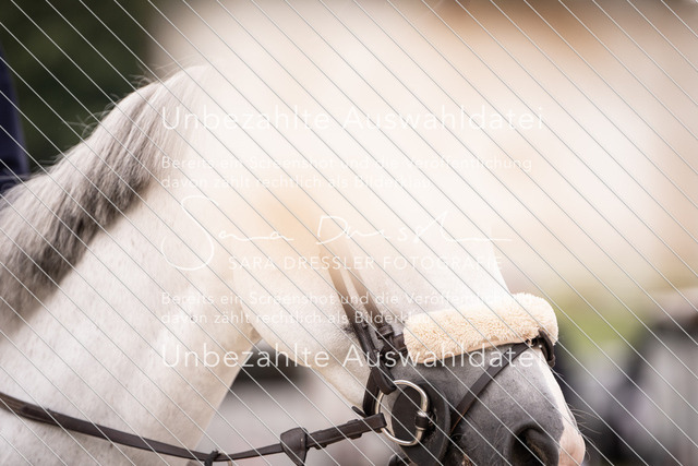 SD_OES26_06992 | saradresslerfotografie - Realisiert mit Pictrs.com