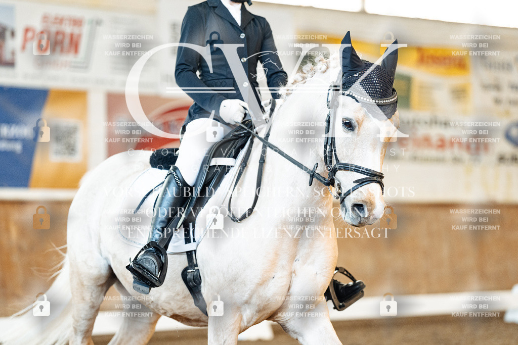 CK907573 | Turnierfotografie Pferdefotografie Trier Rheinland-Pfalz Pferdesport Reitsport Tierfotografie Sportfotografie Pferdevideo Pferdevideografie Equestrianvideography equestrianphotography  - Realisiert mit Pictrs.com