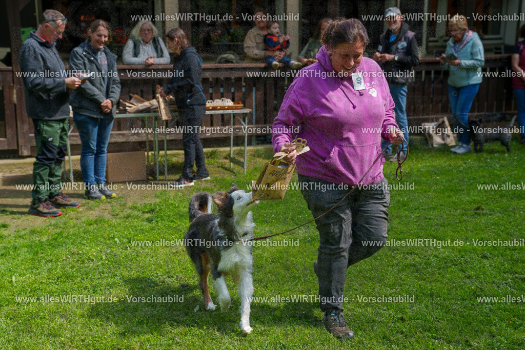 @allesWIRTHgut_Tierfotografie - www.allesWIRTHgut.de - 7R506127 | Professionelle Tierfotografie in Mönchengladbach von Daniel Wirth (allesWIRTHgut). Liebevolle & natürliche Bilder von Hunden & Katzen für unvergessliche Erinnerungen.