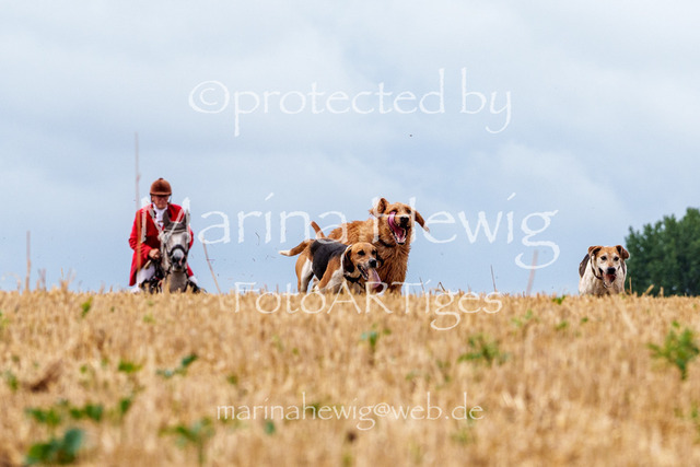 Jagd Knoop 26_MarinaHewigMCH02290 | Fotografie, FotoArt, PferdesportArt, Pferdesportfotografie, Landschaftsfotografie, Reisefotografie, Reise, Pferde - Realisiert mit Pictrs.com