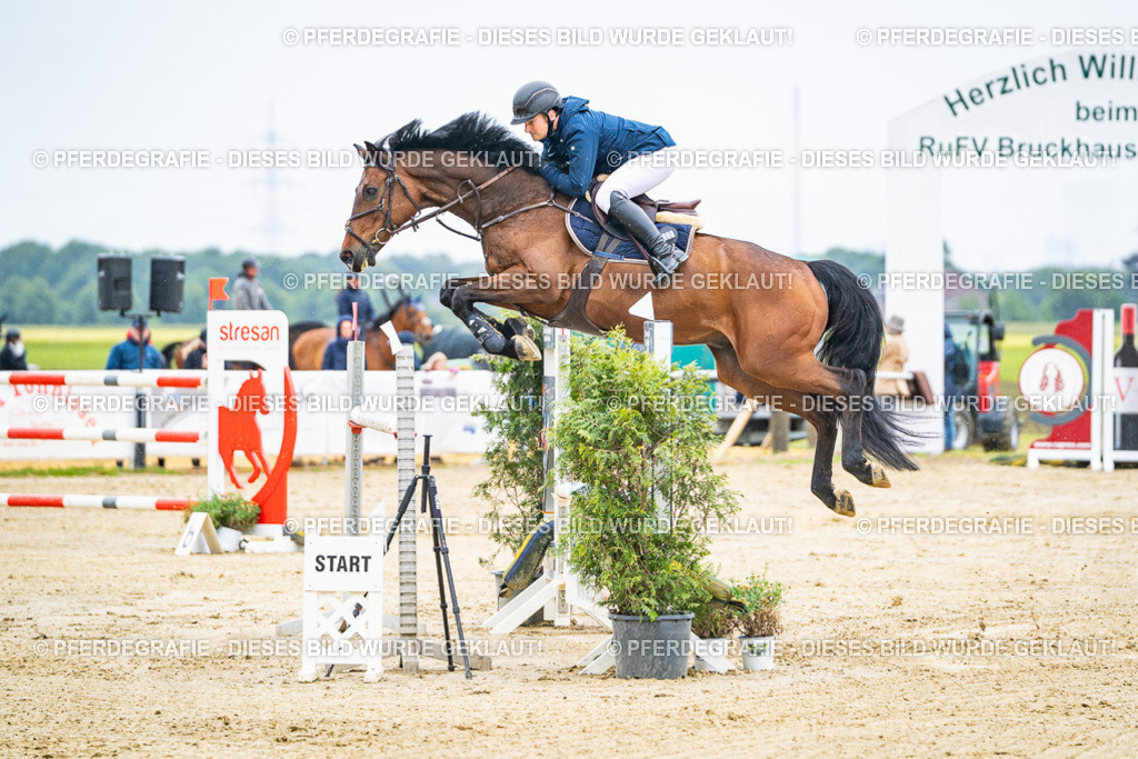 DSC08967 | Pferdegrafie