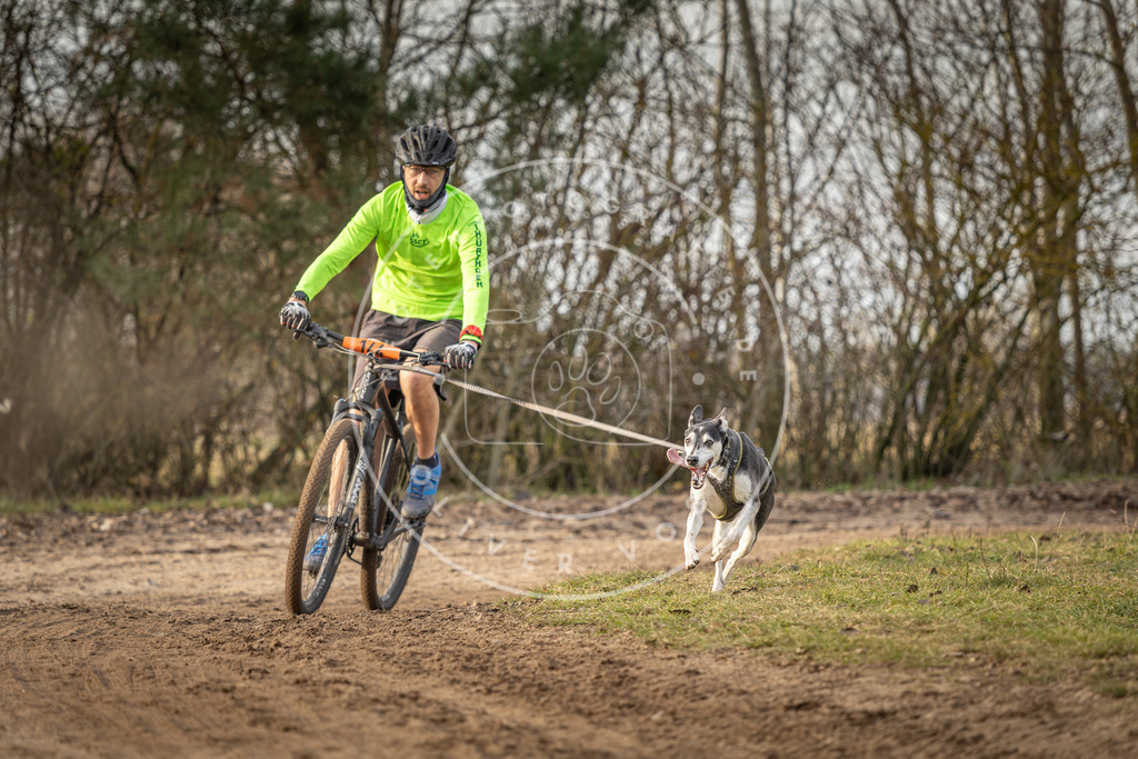 Pfotenfotografie_DV3A8410 | Hundefotografie, Tierfotograf, Pfotenfotografie, Fotoshooting Hund, Hunde Portrait, Hundesport, Hundeportraits, Heideshooting, Hunde, Sportfotograf, Hundefotograf, Turnierhundsport, THS,  - Realisiert mit Pictrs.com