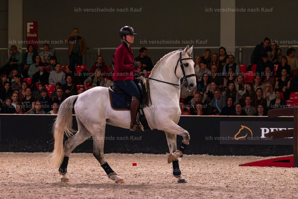 JoseraCup-94 | working equitationturnier fotograf videograf stoibphotography marixx film working equitation deutschland reitsport turnierfotografie eventfotografie equestrian events