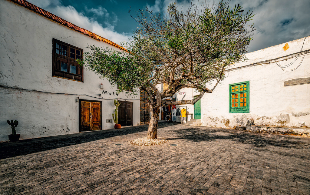 Ein alter Olivenbaum in Costa Teguise in Lanzarote,Urlaub | Das Bild zeigt einen historischen Platz in der Altstadt von Teguise auf Lanzarote. Ort: Teguise war lange Zeit die Hauptstadt von Lanzarote und ist bekannt für ihre weißen Flachbauten.Architektur: Typisch sind die weißen Wände im Kontrast zu dunklem Vulkangestein und oft grün gestrichenen Fenstern.Atmosphäre: Der Platz strahlt eine ruhige, historische Atmosphäre aus, die typisch für das alte Gesicht der Insel ist. - Realisiert mit Pictrs.com