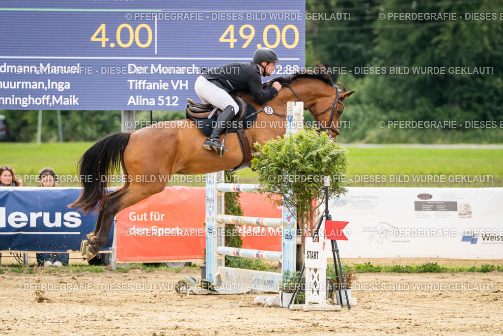 DSC06143 | Pferdegrafie