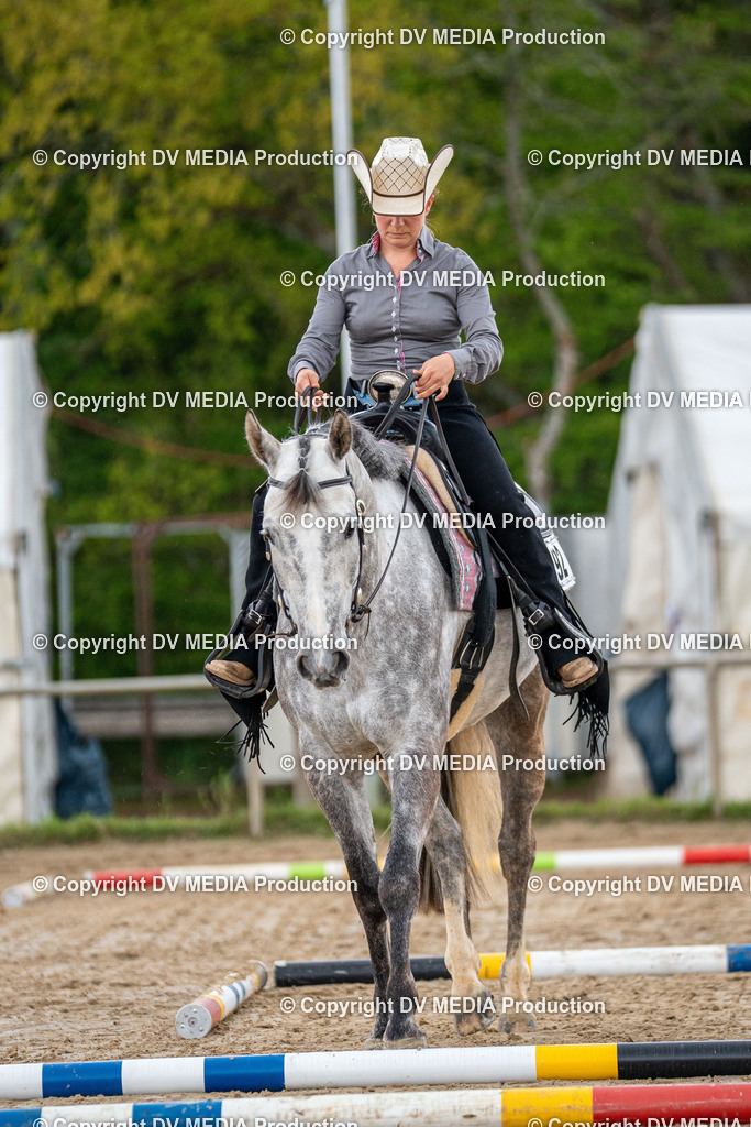 Heiligenwald Tag 1-657 | dv-media-shop - Realisiert mit Pictrs.com