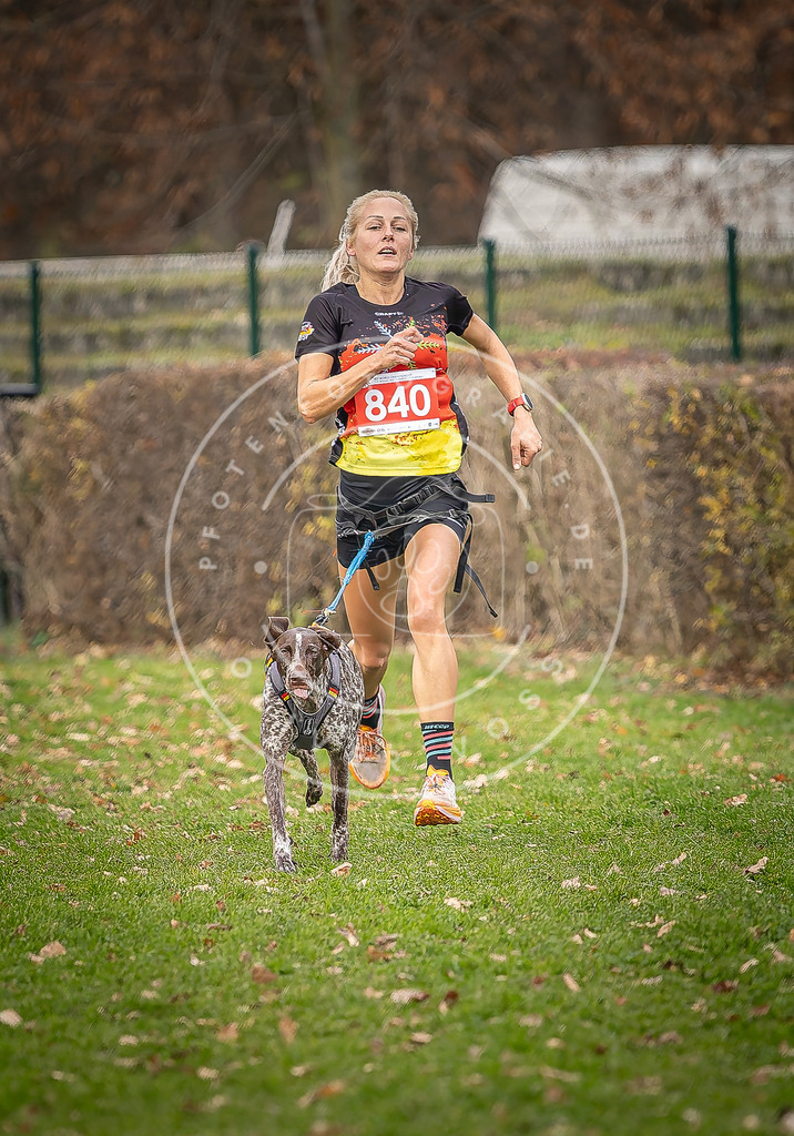 CaniXpix_DV3A6206 | Hundefotografie, Tierfotograf, Pfotenfotografie, Fotoshooting Hund, Hunde Portrait, Hundesport, Hundeportraits, Heideshooting, Hunde, Sportfotograf, Hundefotograf, Turnierhundsport, THS,  - Realisiert mit Pictrs.com