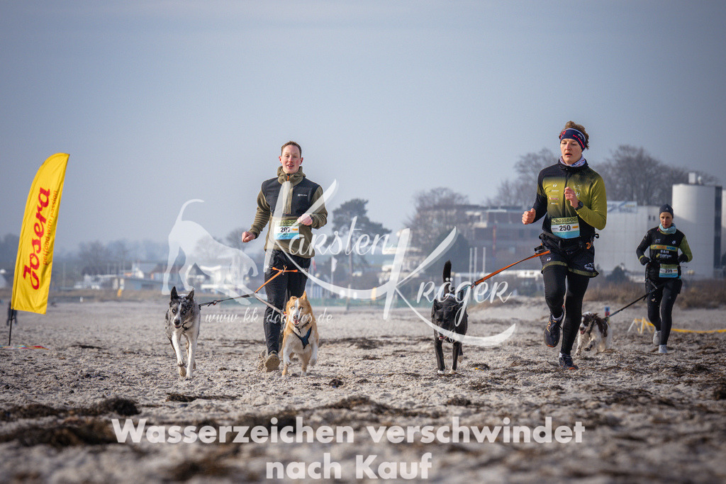 1017_ZZ94609 | kk-dogfotos