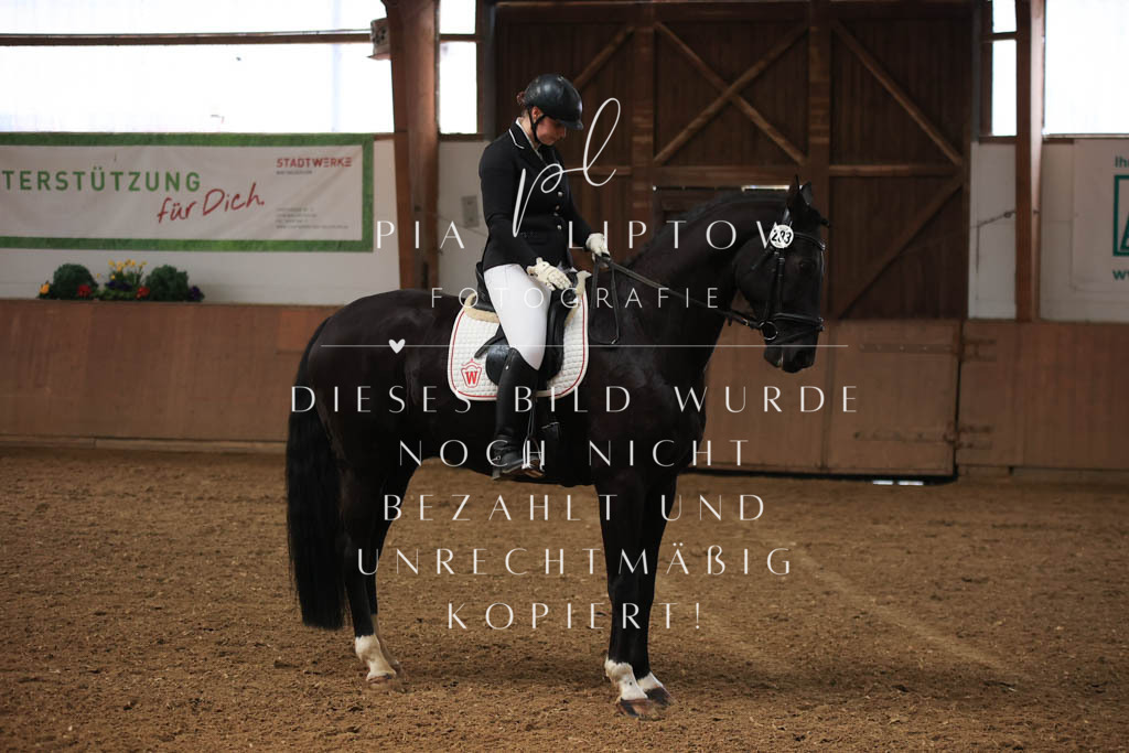 IMGT8641 | pl-fotografie