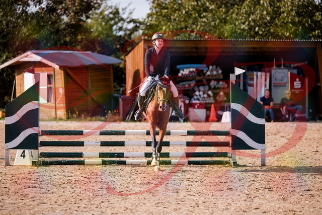 2026_10_03_Siefer-Hof_155341_Z81_73341400 | Professionelle Reitsport-, Turnier- und Eventfotografie von Robert Broda. Galerien mit ausgewählten und bearbeiteten Bildern direkt online ansehen und bestellen.