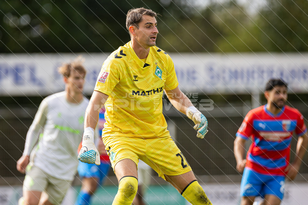 20250921_Picselweb-Fotografie_Meta_1R3_0597 | SV Drochtersen Assel - Werder Bremen II 3:2 - Realisiert mit Pictrs.com