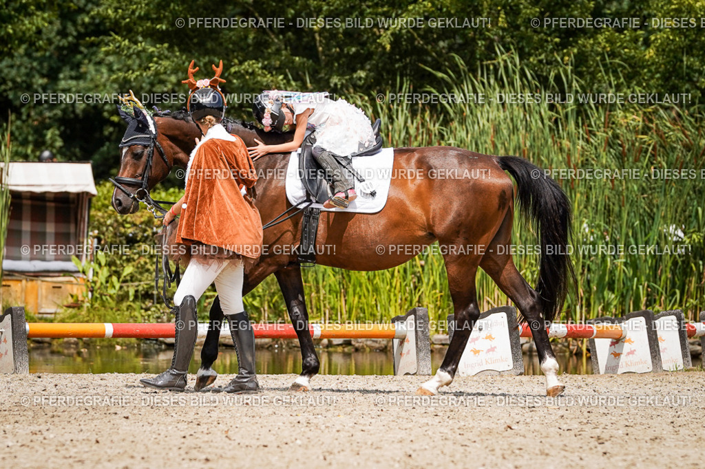 DSC03081 | Pferdegrafie