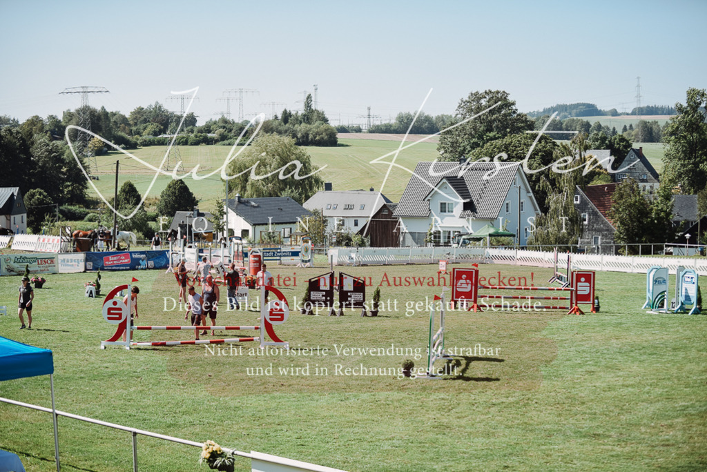 DSC_3382 | Pferde- und Turnierfotografie in Westsachsen. Pferdeportraits, Auftragszeichnungen und intuitive Kunst.