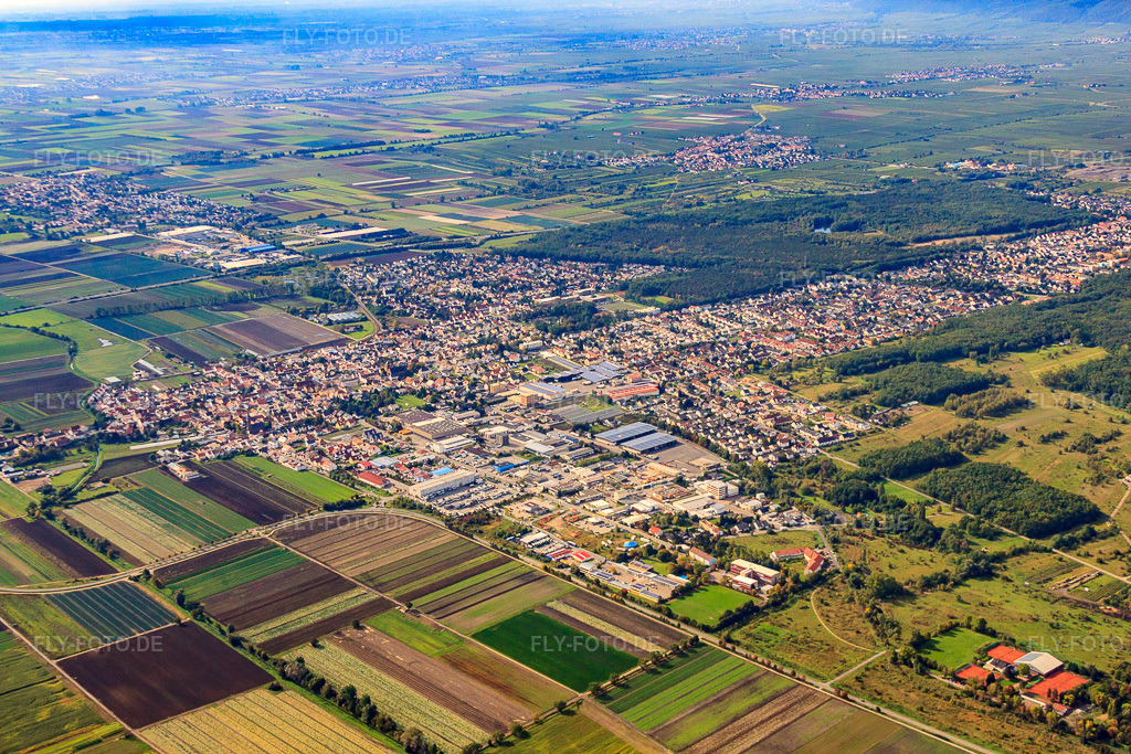 Luftbild: Ortsansicht von Nordosten in Maxdorf im Bundesland Rheinland-Pfalz in Deutschland. Foto: IMG_34426.jpg vom 03.10.2010 durch Werner Riehm/FLY-FOTO.de