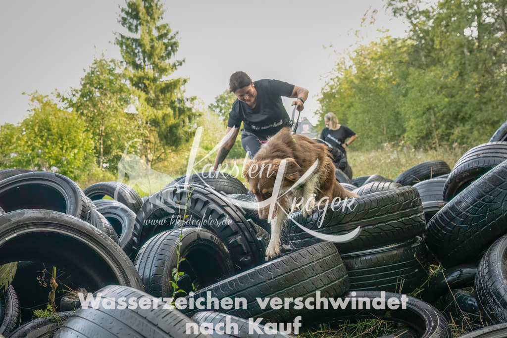 1042_ZZ90238-Bearbeitet | kk-dogfotos