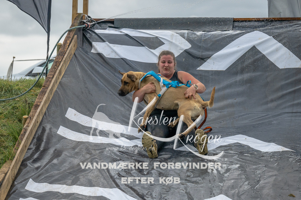 1541_ZZ94915 | kk-dogfotos