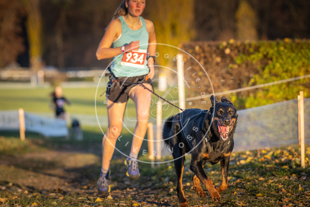CaniXpix_DV3A5211 | Hundefotografie, Tierfotograf, Pfotenfotografie, Fotoshooting Hund, Hunde Portrait, Hundesport, Hundeportraits, Heideshooting, Hunde, Sportfotograf, Hundefotograf, Turnierhundsport, THS,  - Realisiert mit Pictrs.com