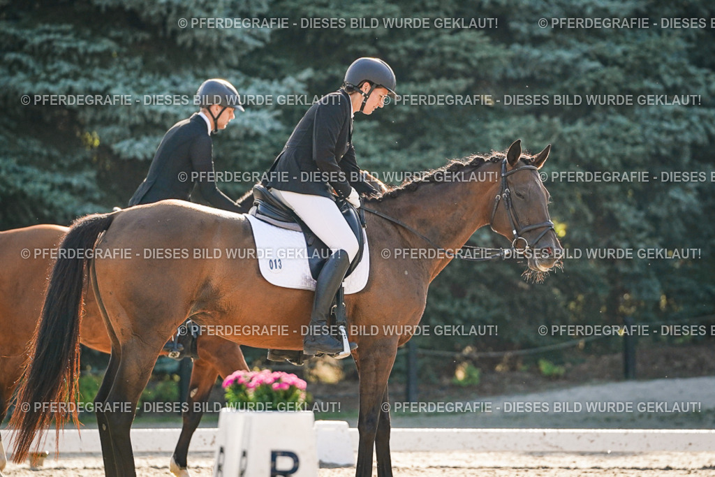 DSC08445 | Pferdegrafie