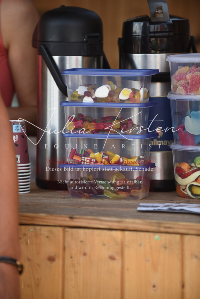 DSC_8872 | Pferde- und Turnierfotografie in Westsachsen. Pferdeportraits, Auftragszeichnungen und intuitive Kunst.