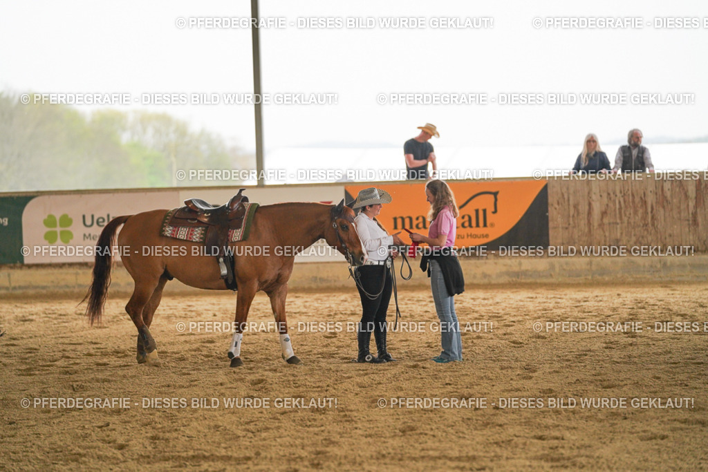 DSC08349 | Pferdegrafie