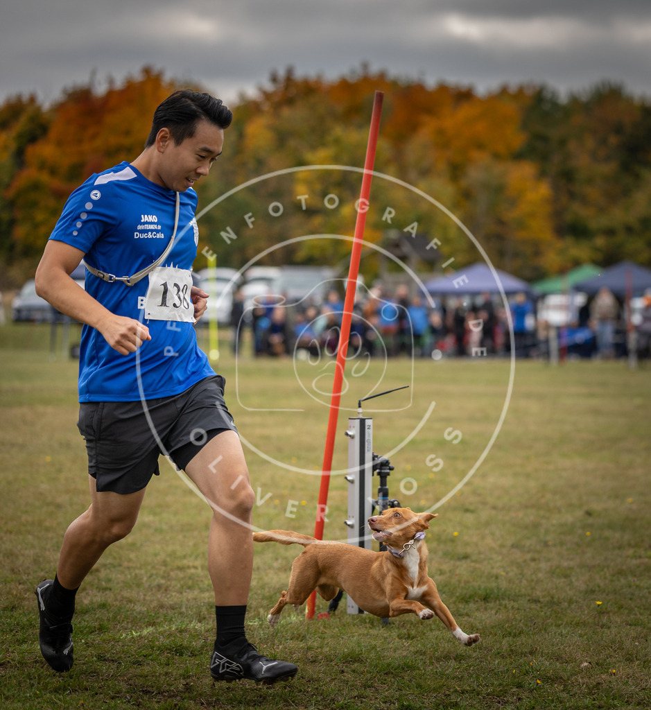 Pfotenfotografie_DV3A8229 | Hundefotografie, Tierfotograf, Pfotenfotografie, Fotoshooting Hund, Hunde Portrait, Hundesport, Hundeportraits, Heideshooting, Hunde, Sportfotograf, Hundefotograf, Turnierhundsport, THS,  - Realisiert mit Pictrs.com
