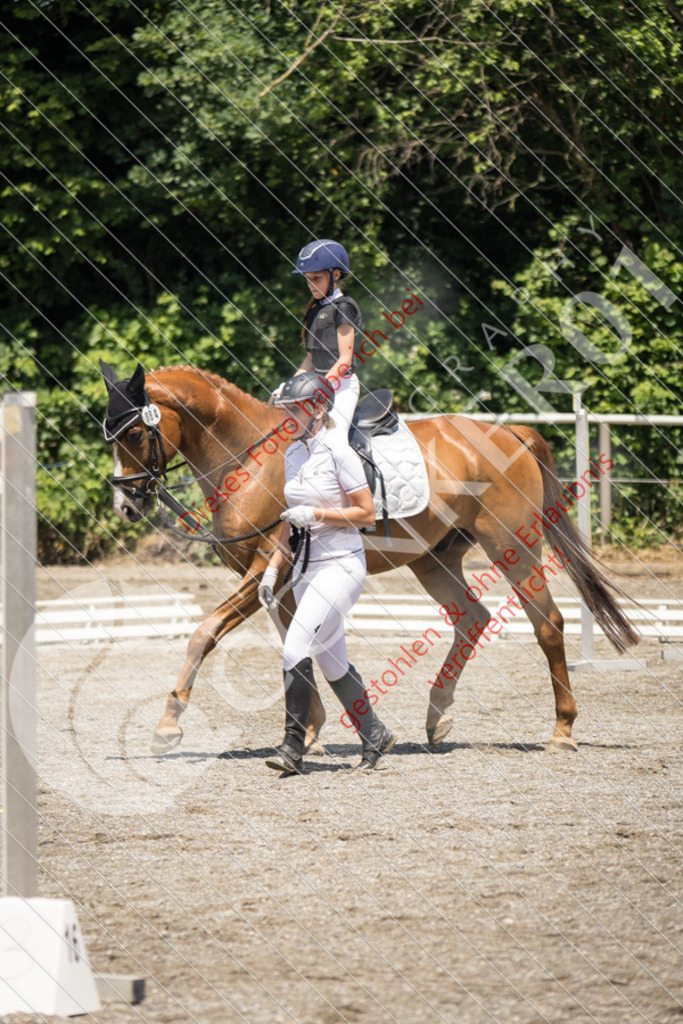 IMG_3512 | Sport-, Event- und Tierfotos in Profiqualität. Einfach auswählen, bestellen und herunterladen. Dein Moment – perfekt festgehalten.