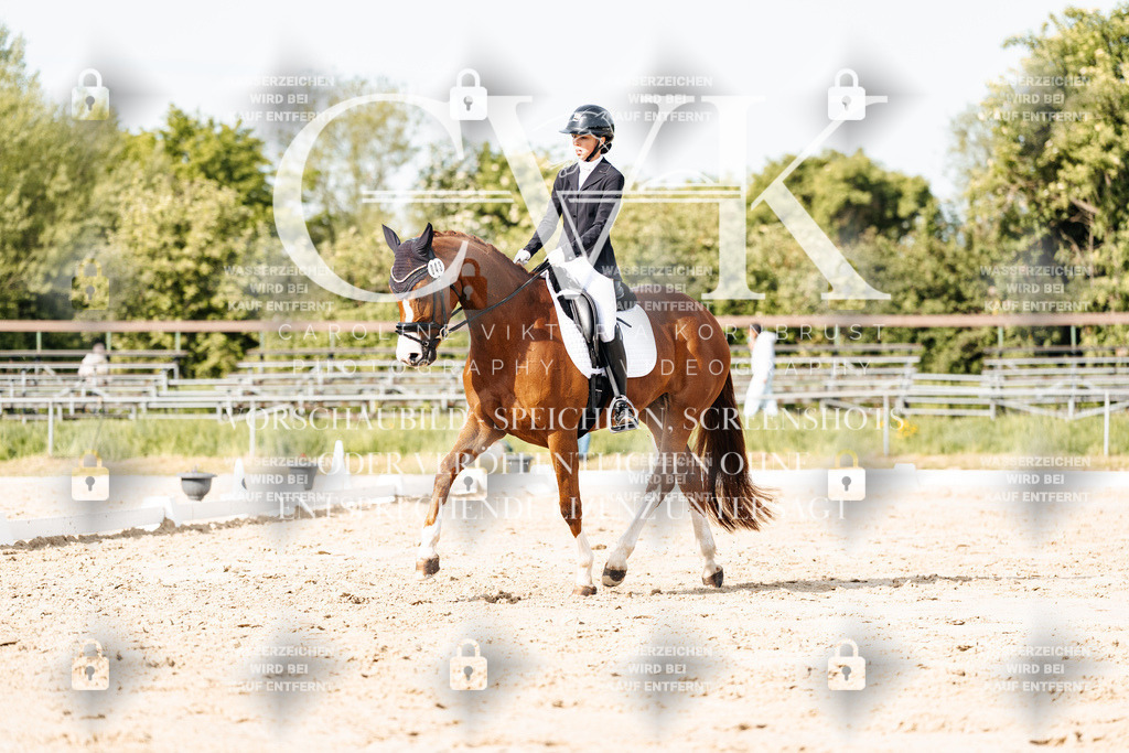 CK900325 | Turnierfotografie Pferdefotografie Trier Rheinland-Pfalz Pferdesport Reitsport Tierfotografie Sportfotografie Pferdevideo Pferdevideografie Equestrianvideography equestrianphotography  - Realisiert mit Pictrs.com