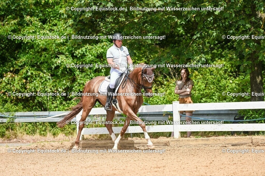 20230716_01_Dressurprüfung Kl.M_0087 | equistock