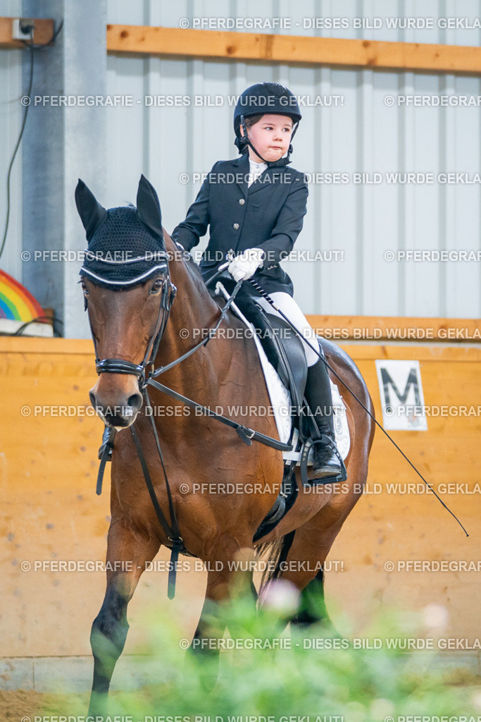 DSC01082 | Pferdegrafie