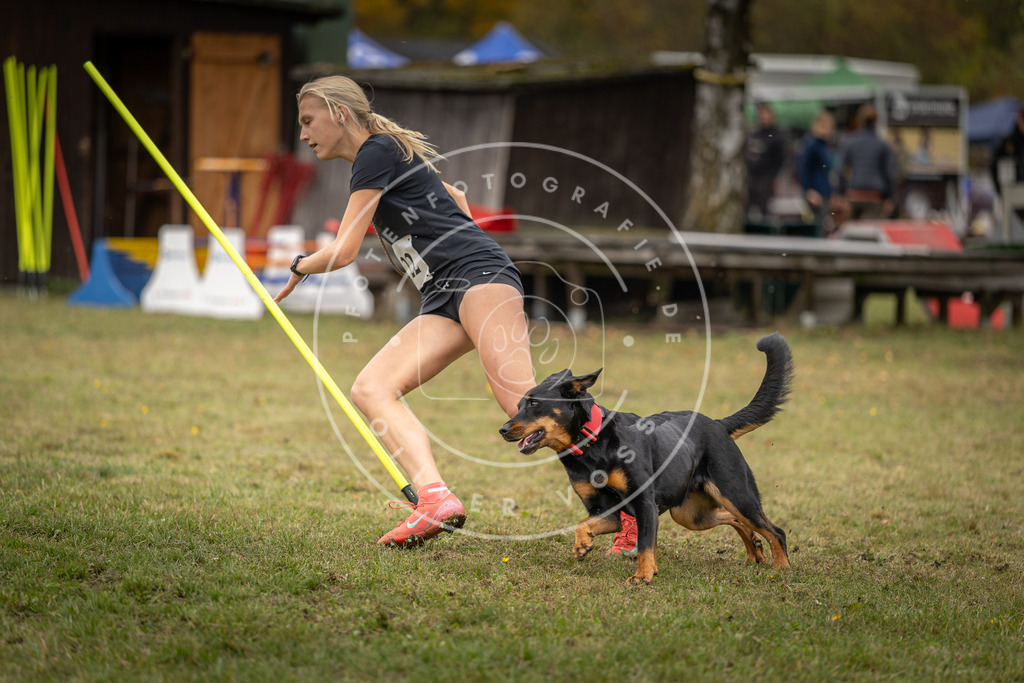 Pfotenfotografie_DV3A7425 | Hundefotografie, Tierfotograf, Pfotenfotografie, Fotoshooting Hund, Hunde Portrait, Hundesport, Hundeportraits, Heideshooting, Hunde, Sportfotograf, Hundefotograf, Turnierhundsport, THS,  - Realisiert mit Pictrs.com