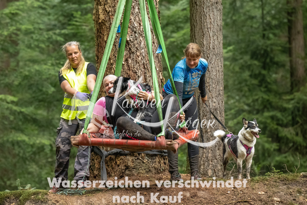 1241_ZZ91560-Bearbeitet-2 | kk-dogfotos
