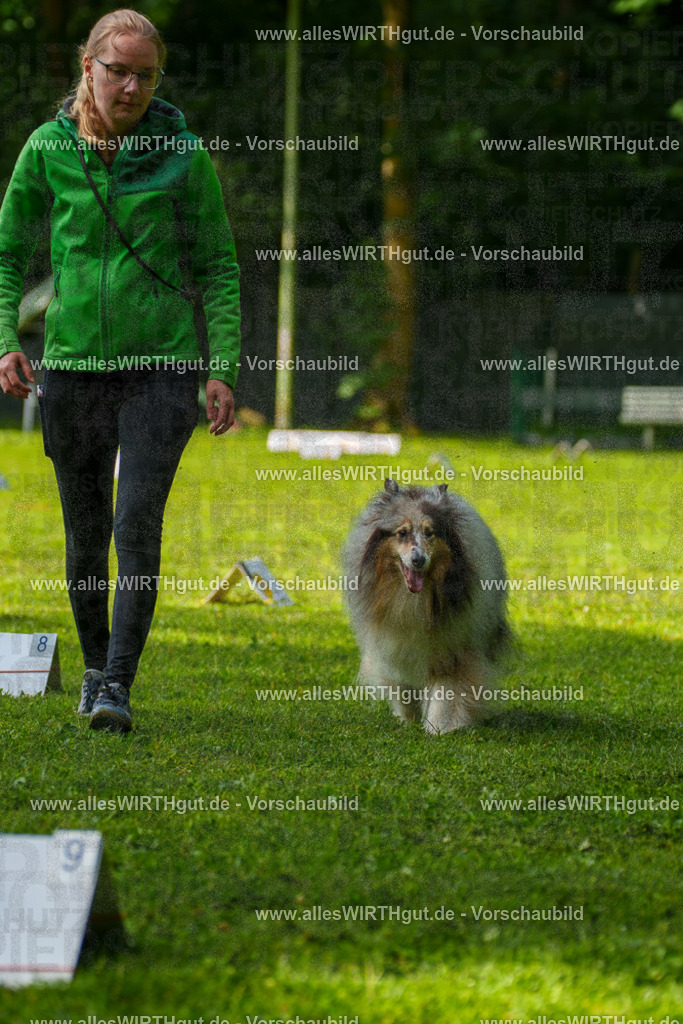 @allesWIRTHgut_Tierfotografie - www.allesWIRTHgut.de - 7R502140 | Professionelle Tierfotografie in Mönchengladbach von Daniel Wirth (allesWIRTHgut). Liebevolle & natürliche Bilder von Hunden & Katzen für unvergessliche Erinnerungen.