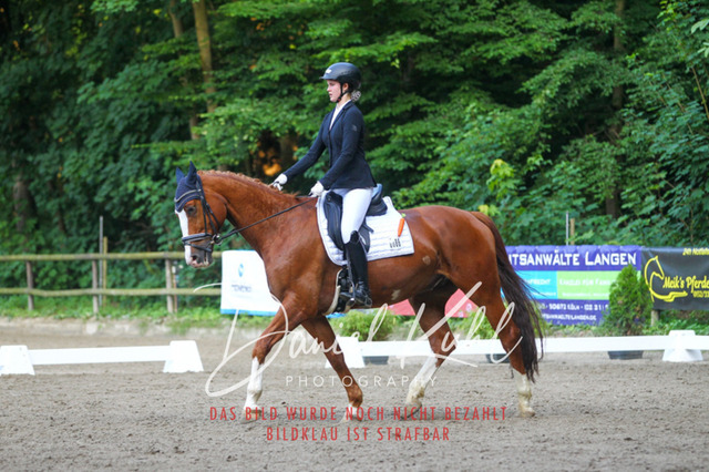 DKP43246 | Turniersportfotografie; Pferdefotografie; Dressurfotografie