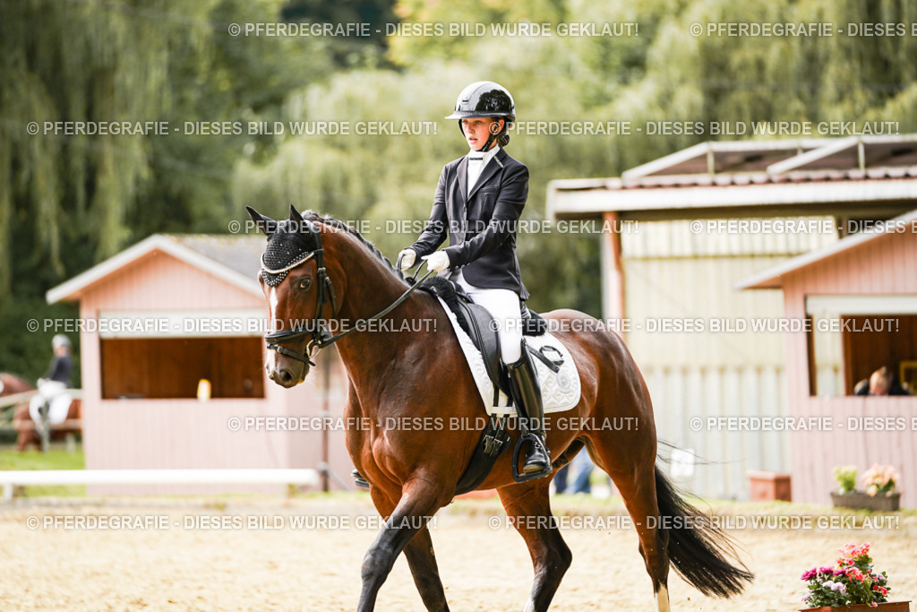 DSC02949 | Pferdegrafie