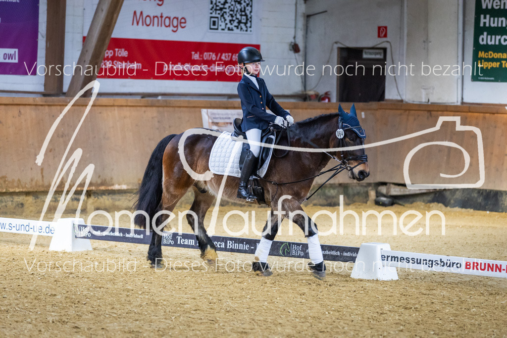 _M2A1979 | MomenTaufnahmen Pferdesportfotos