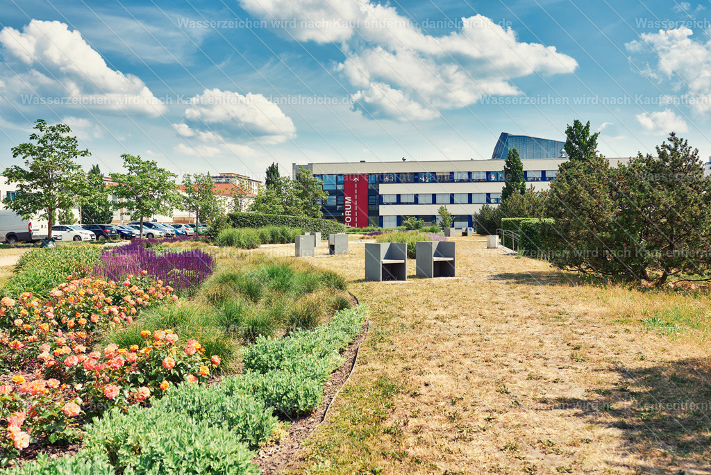 Hoyerswerda-Neustadt im Sommer 2023 - Central-Park | Hoyerswerda-Neustadt im Sommer 2023 - Central-Park - Realisiert mit Pictrs.com