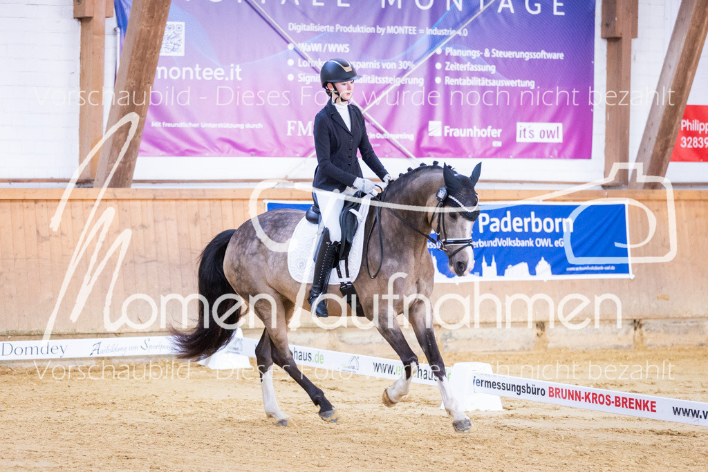 Sth-A-Dre-1St-061 | MomenTaufnahmen Pferdesportfotos