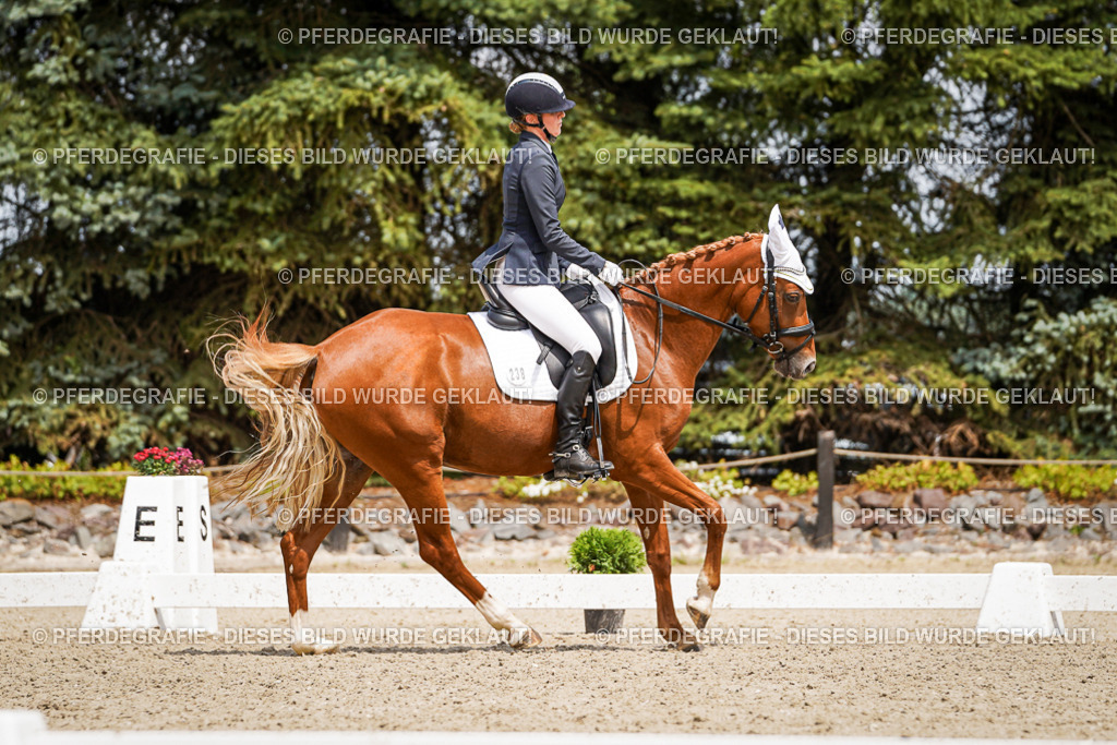 DSC03093 | Pferdegrafie