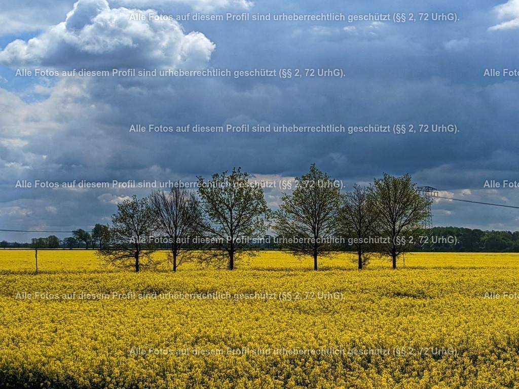 IMG_20200503_112827-01 | krollfotografie - Realisiert mit Pictrs.com