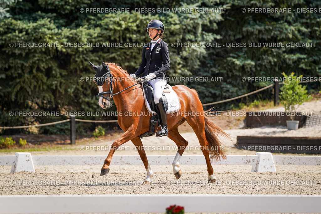 DSC00736 | Pferdegrafie