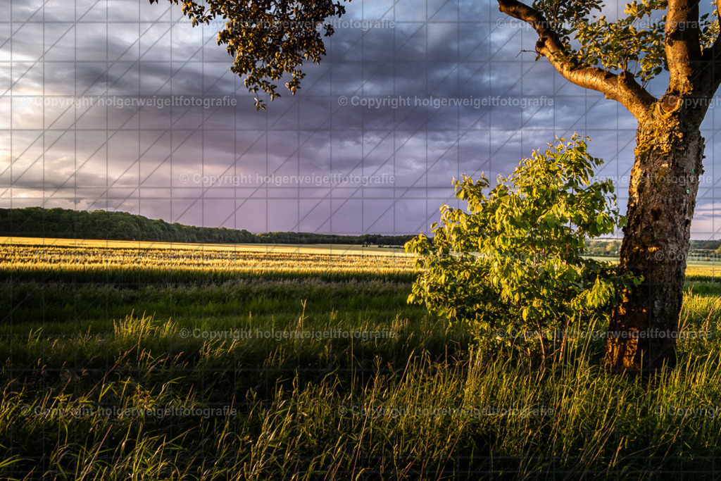 Abendstimmung | Kaufen sie online außergewöhnliche Fotografien auf Leinwand Acrylglas Fotoprint Aludibond von holgerweigeltfotografie - Realisiert mit Pictrs.com