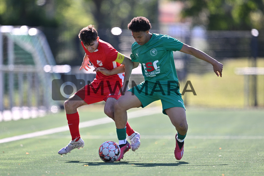 250511_EP__4486 | MWMARA - Realisiert mit Pictrs.com