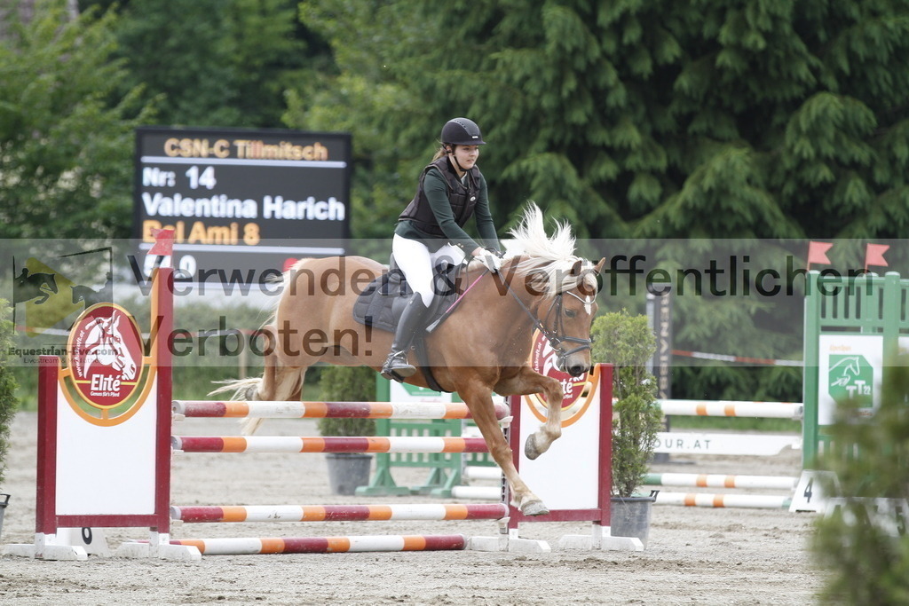 _MG_6467 | equestrian-live-com