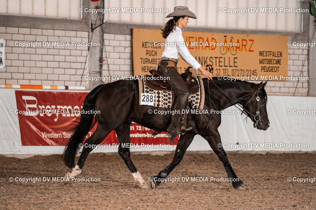 ZH300233 | dv-media-shop - Realisiert mit Pictrs.com