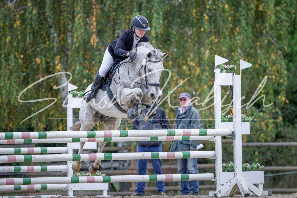 20251012-_3LI4651 | Tierfotografie Pferde, Hunde, Katzen, Haustiere.
Turnierfotografie Reitturniere, Reiten, Springreiten, Dressur in Hanau, dem Main-Kinzig-Kreis und dem Rhein-Main- Gebiet um Frankfurt